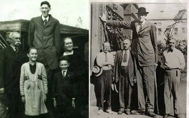 Самые высокие люди в мире и в истории